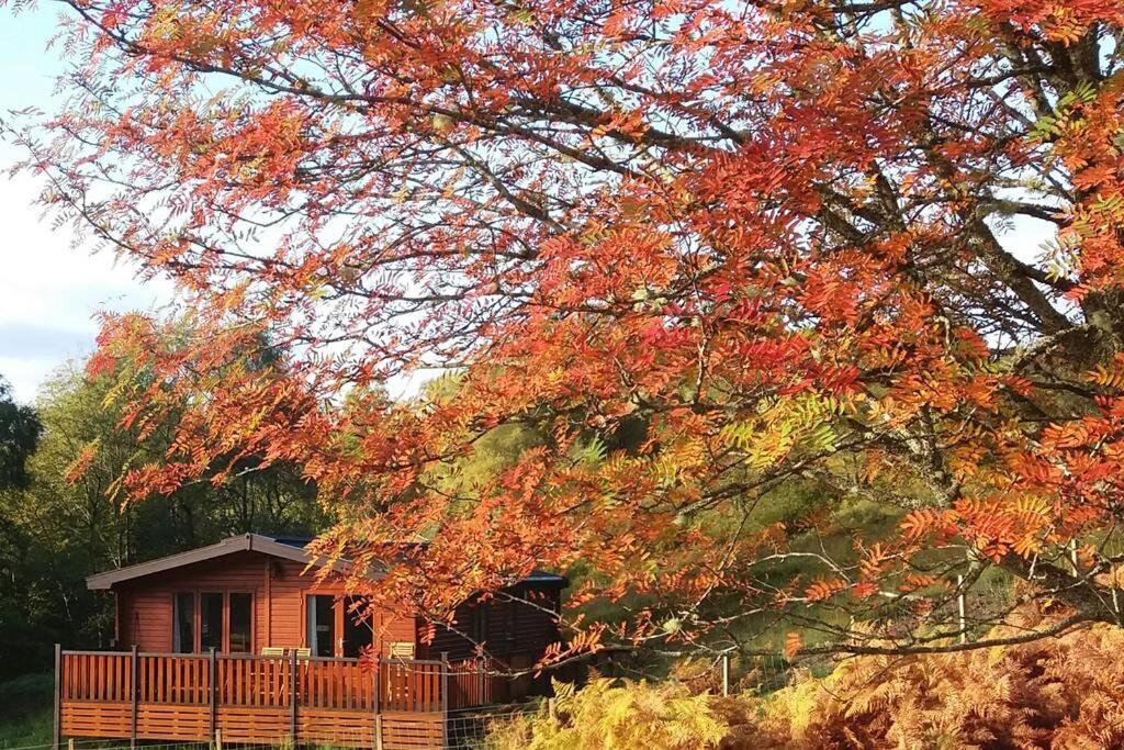 Glas Doire Lodge, Glen Roy Nature Reserve Roybridge Dış mekan fotoğraf